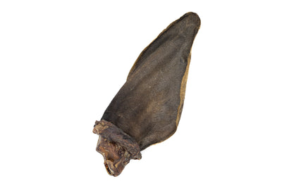 Orelha bovina com ouvido - Natuka