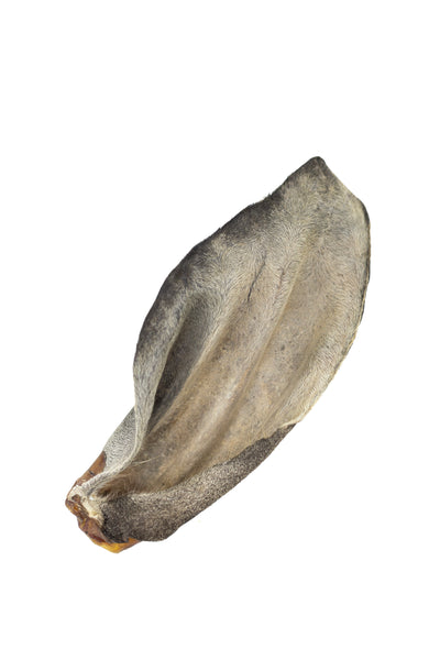 Orelha bovina - Natuka