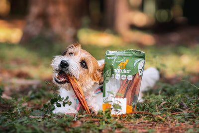 Puff / Bexiga bovina - Natuka