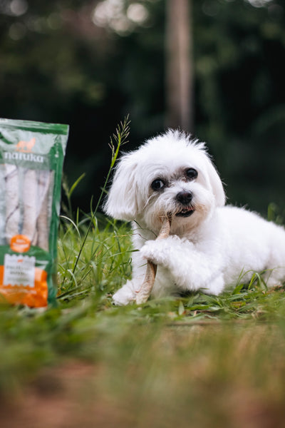 Palitinho bovino / Pele bovina - Natuka