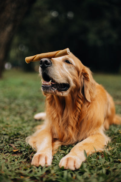 Buba / Pele de Búfalo - Natuka