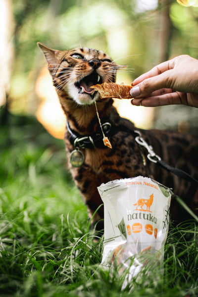 Snack de frango - Natuka