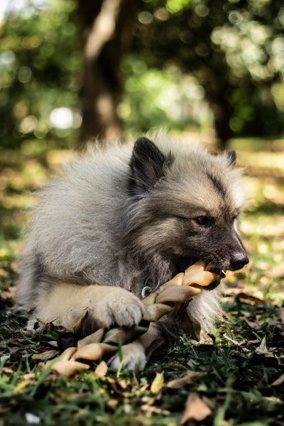 Trança bovina sem pelos - Natuka